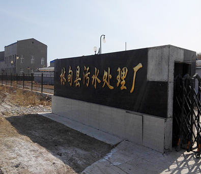 林甸縣污水處理廠防水堵漏工程